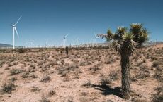 Article Image for Climate Tech Startups Attract Record Venture Funding