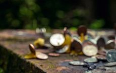 Article Image for Decentralized Finance Aims for a Comeback