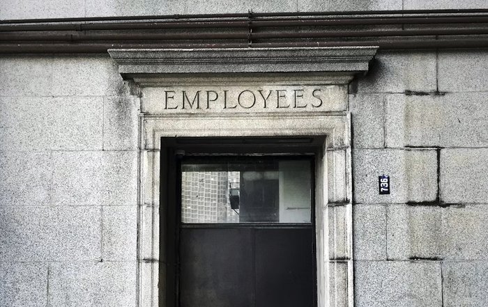 Article Image for Employment Trends Reveal Shifting Workforce Priorities