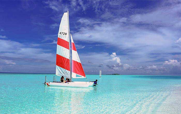 Enhancing Business Productivity Top Apps