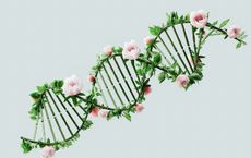 Article Image for Gene Editing Technologies Open New Bio-Economy Frontiers