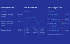 How Inflation Impacts Business Strategies in Developed Nations