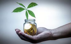 Article Image for How Sustainable Finance Is Reshaping Investment Decisions