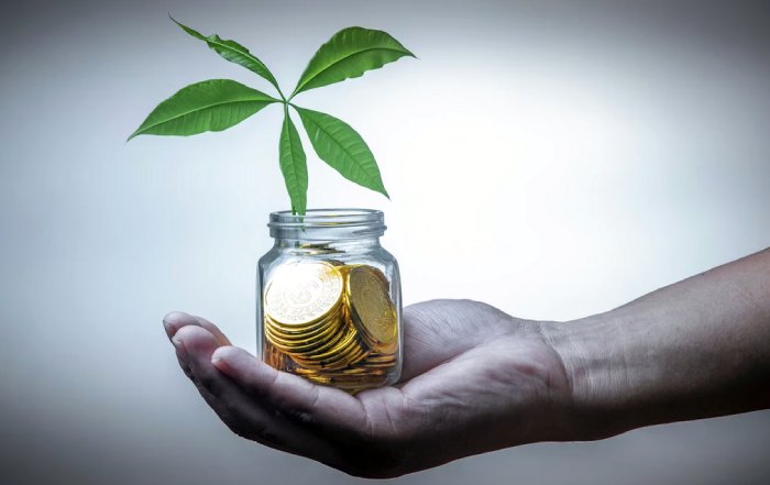 Article Image for How Sustainable Finance Is Reshaping Investment Decisions