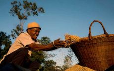 Sustainable Banking Trends Shaping the Global Economy