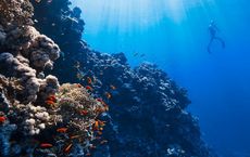 Article Image for The Economic Potential of Ocean Exploration and Conservation