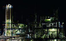 Article Image for The Return of Industrial Policy in Western Economies